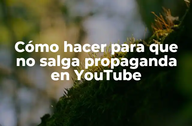 Cómo Hacer para que No Salga Propaganda en Youtube