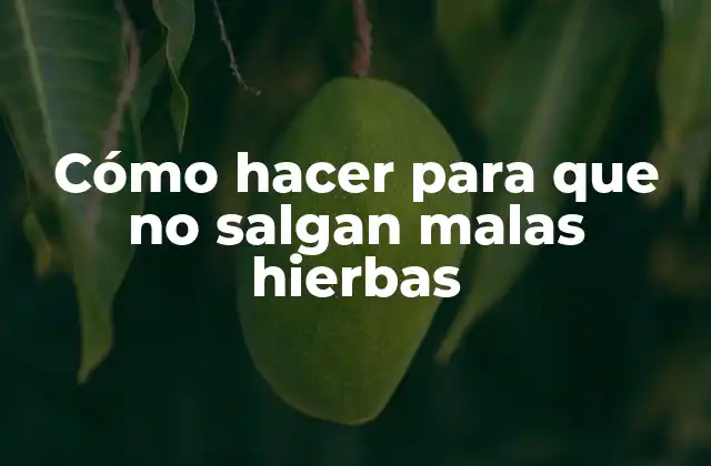 Cómo hacer para que no salgan malas hierbas