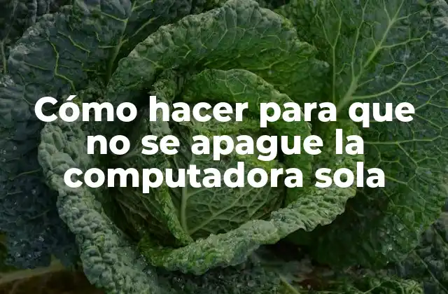 Cómo Hacer para que No Se Apague la Computadora Sola