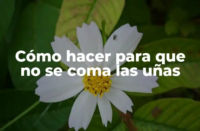 Cómo Hacer para que No Se Coma las Uñas