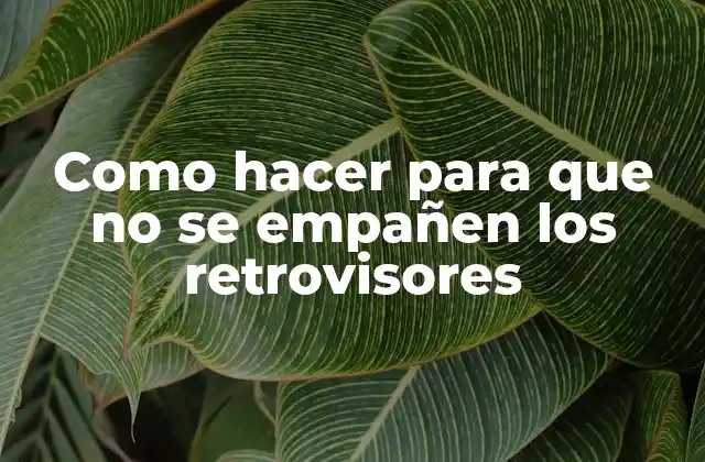 Como Hacer para que No Se Empañen los Retrovisores