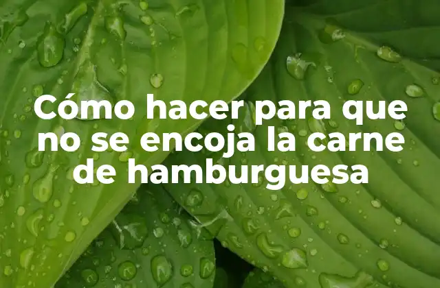 Cómo Hacer para que No Se Encoja la Carne de Hamburguesa