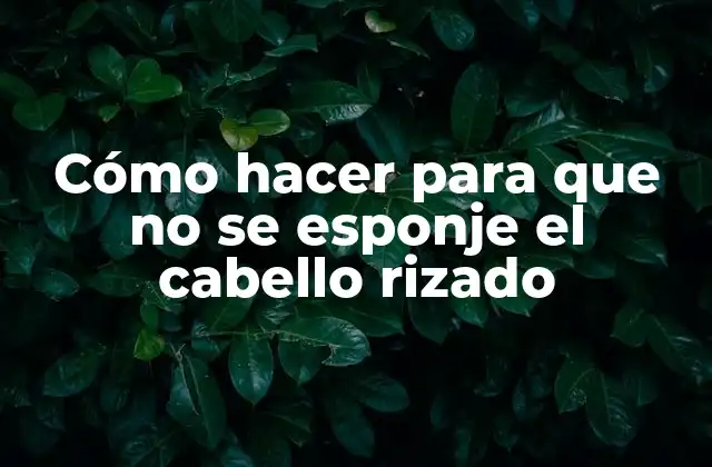 Cómo Hacer para que No Se Esponje el Cabello Rizado