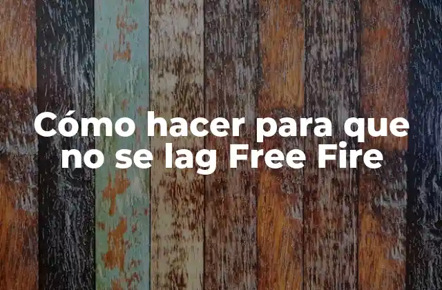 Cómo Hacer para que No Se Lag Free Fire