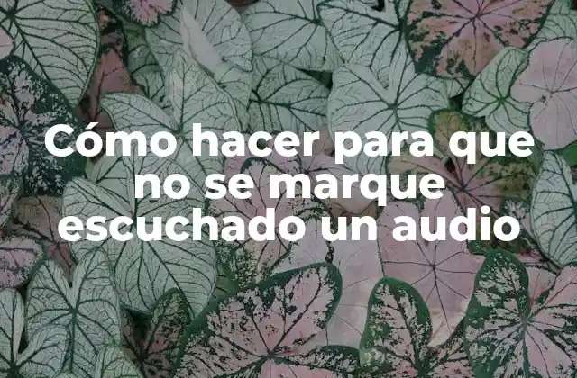 Cómo Hacer para que No Se Marque Escuchado un Audio