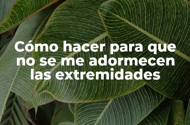 Cómo Hacer para que No Se Me Adormecen las Extremidades