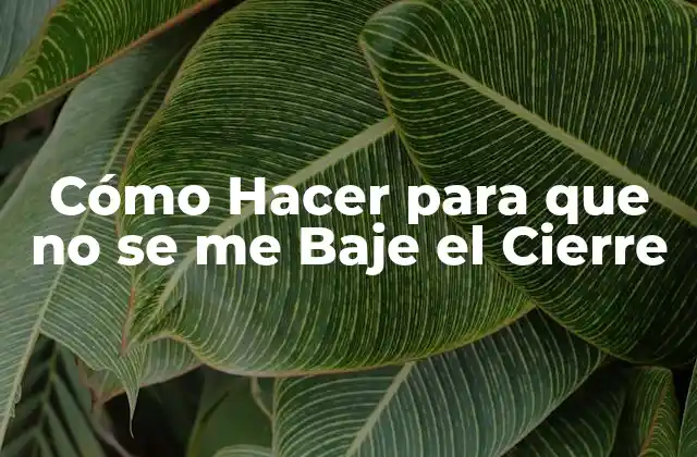 Cómo Hacer para que No Se Me Baje el Cierre