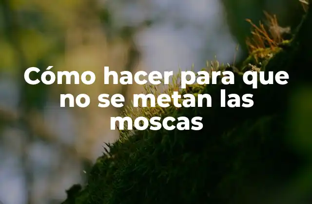 Cómo Hacer para que No Se Metan las Moscas