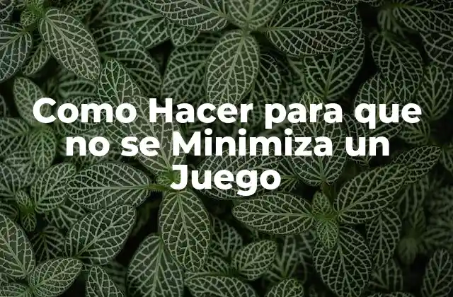 Como Hacer para que No Se Minimiza un Juego