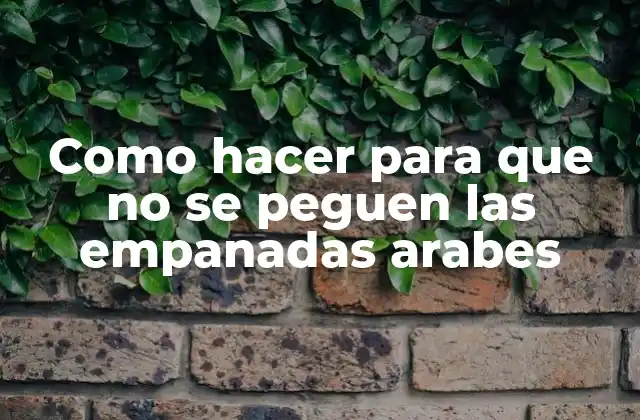 Como Hacer para que No Se Peguen las Empanadas Arabes