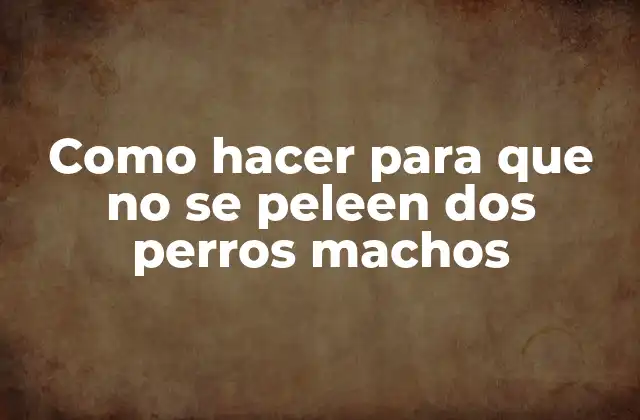Como Hacer para que No Se Peleen Dos Perros Machos