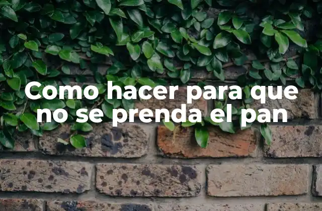 Como Hacer para que No Se Prenda el Pan