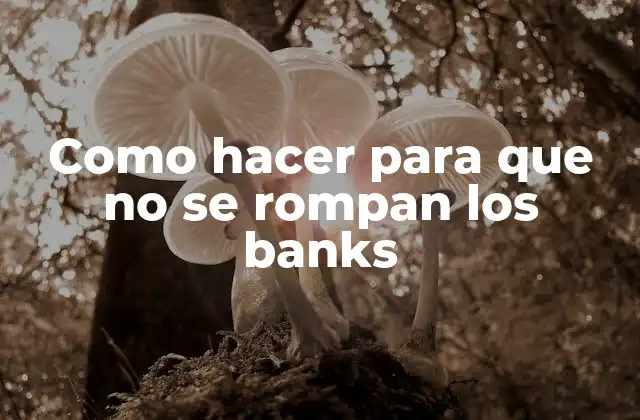 Como Hacer para que No Se Rompan los Banks