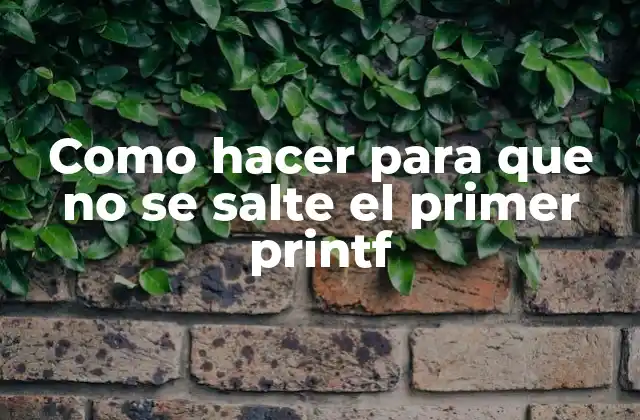Como Hacer para que No Se Salte el Primer Printf 2 ¿Qué es printf y para qué se usa?