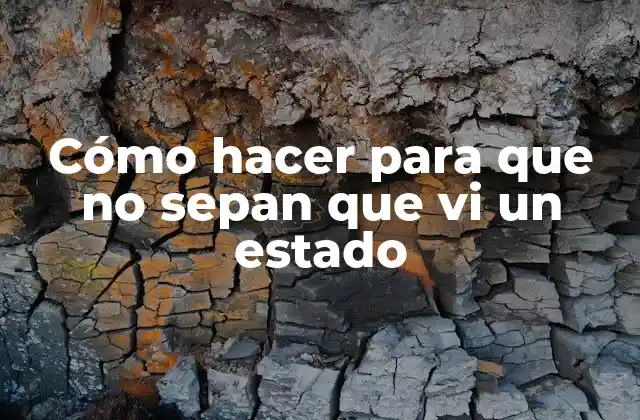 Cómo Hacer para que No Sepan que Vi un Estado