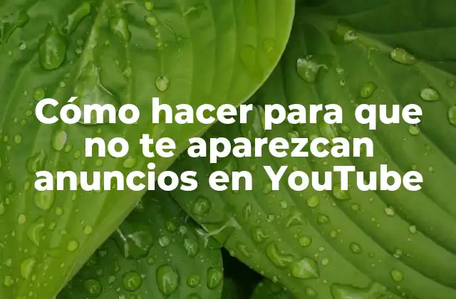Cómo Hacer para que No Te Aparezcan Anuncios en Youtube