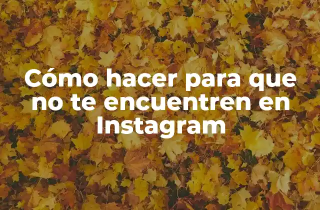 Cómo Hacer para que No Te Encuentren en Instagram
