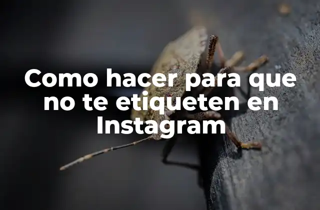 Como Hacer para que No Te Etiqueten en Instagram