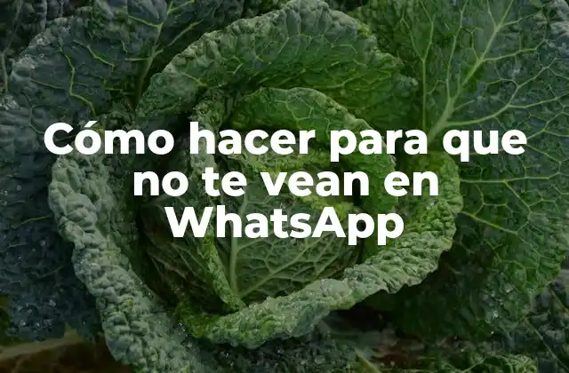 Cómo Hacer para que No Te Vean en Whatsapp