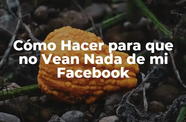 Cómo Hacer para que No Vean Nada de Mi Facebook