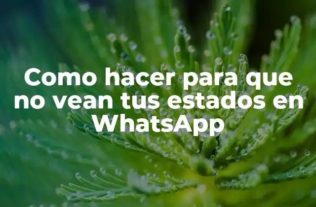 Como Hacer para que No Vean Tus Estados en Whatsapp