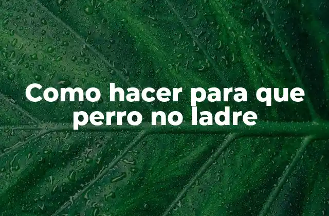 Como Hacer para que Perro No Ladre