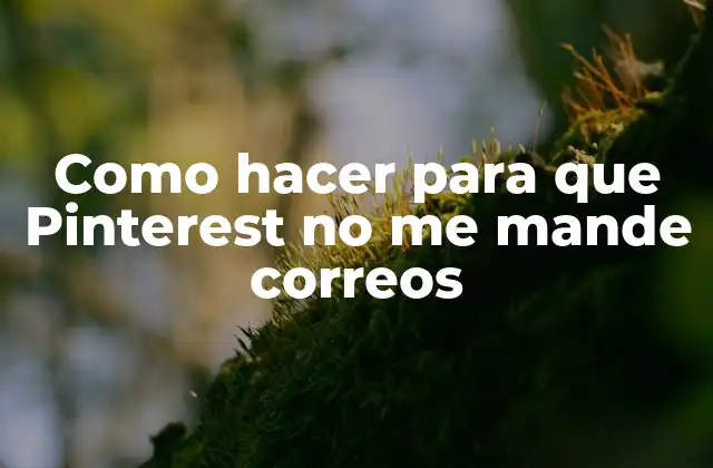 Como Hacer para que Pinterest No Me Mande Correos