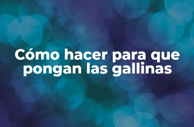 Cómo Hacer para que Pongan las Gallinas