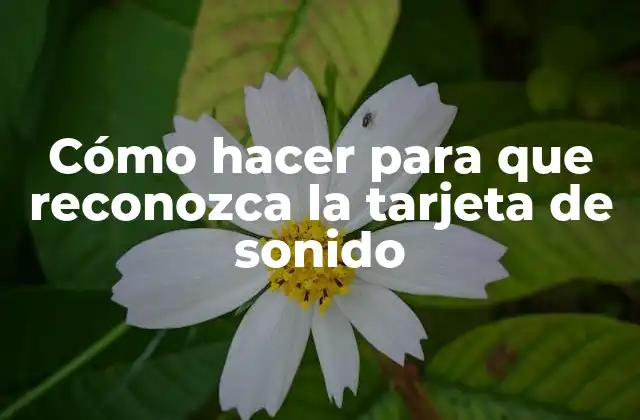 Cómo Hacer para que Reconozca la Tarjeta de Sonido
