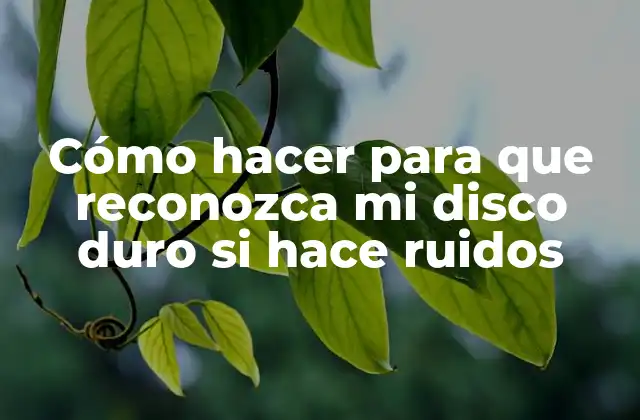 Cómo Hacer para que Reconozca Mi Disco Duro Si Hace Ruidos