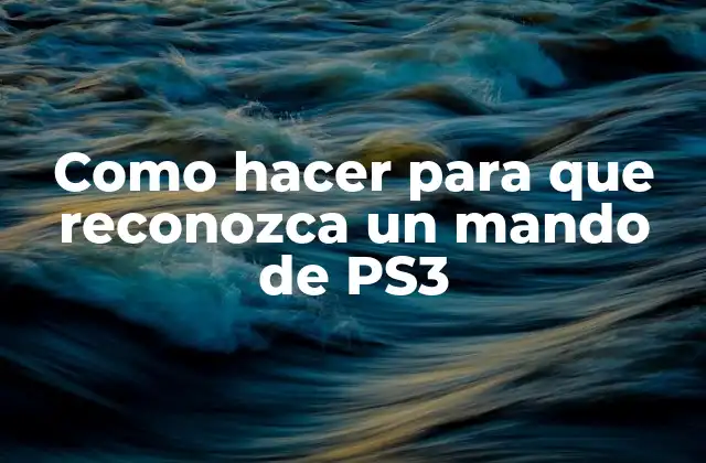 Como Hacer para que Reconozca un Mando de Ps3