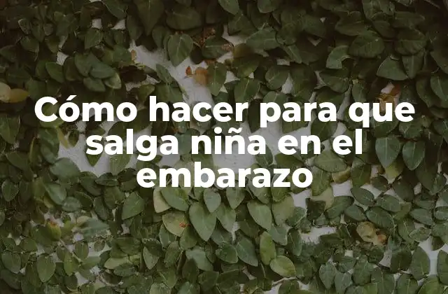 Cómo Hacer para que Salga Niña en el Embarazo