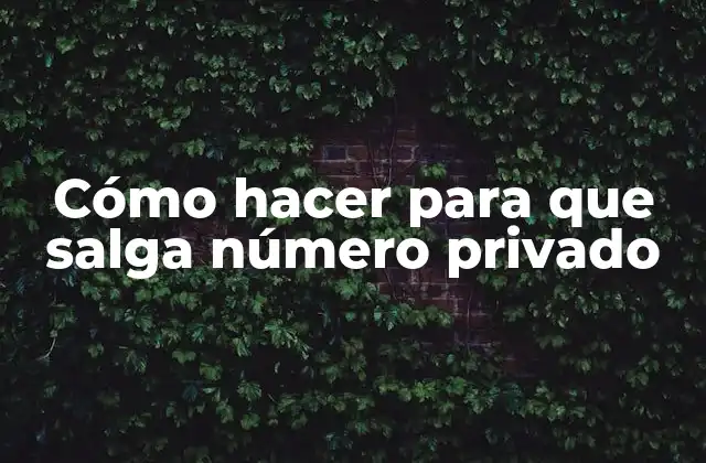 Cómo Hacer para que Salga Número Privado