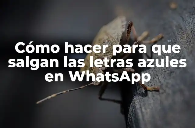 Cómo hacer para que salgan las letras azules en WhatsApp