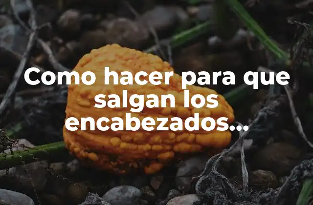 Como Hacer para que Salgan los Encabezados Automáticos en Notepad