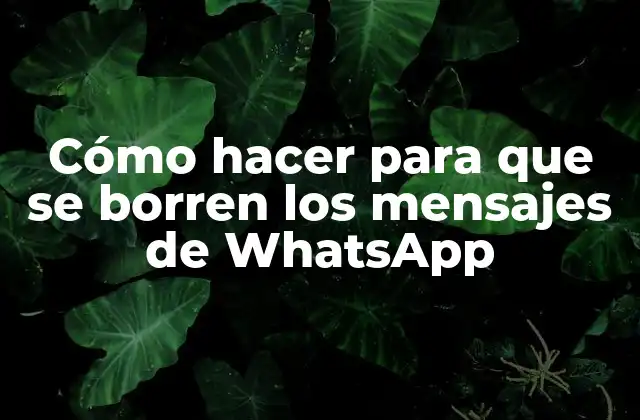 Cómo Hacer para que Se Borren los Mensajes de Whatsapp