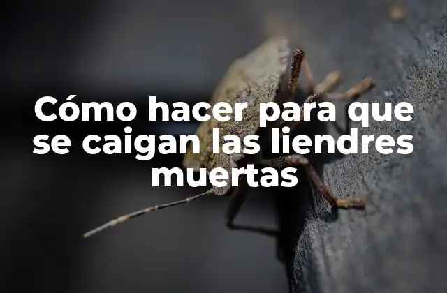 Cómo Hacer para que Se Caigan las Liendres Muertas