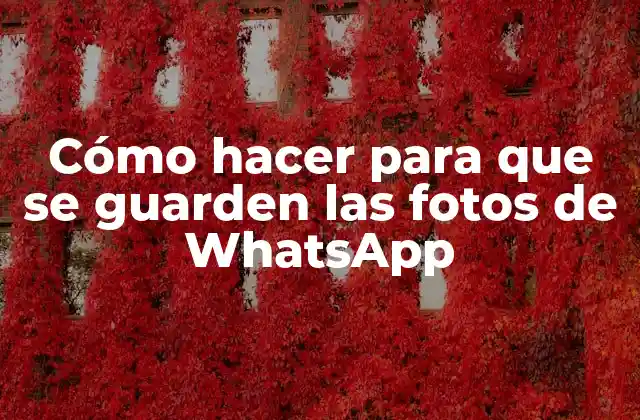 Cómo Hacer para que Se Guarden las Fotos de Whatsapp
