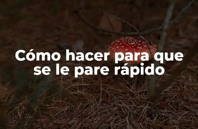 Cómo Hacer para que Se Le Pare Rápido