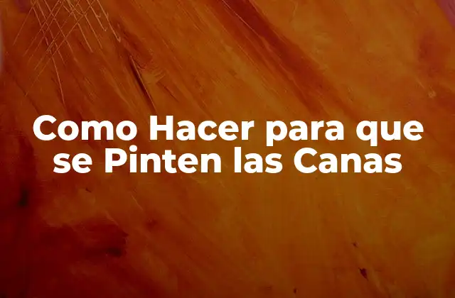 Como Hacer para que Se Pinten las Canas