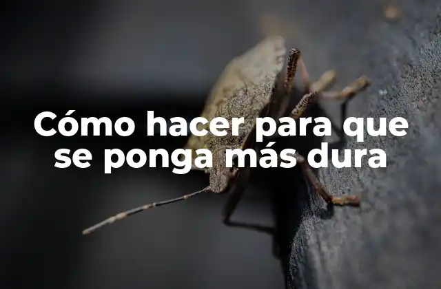 Cómo Hacer para que Se Ponga Más Dura