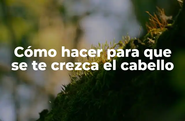 Cómo Hacer para que Se Te Crezca el Cabello 2 Cómo hacer para que se te crezca el cabello