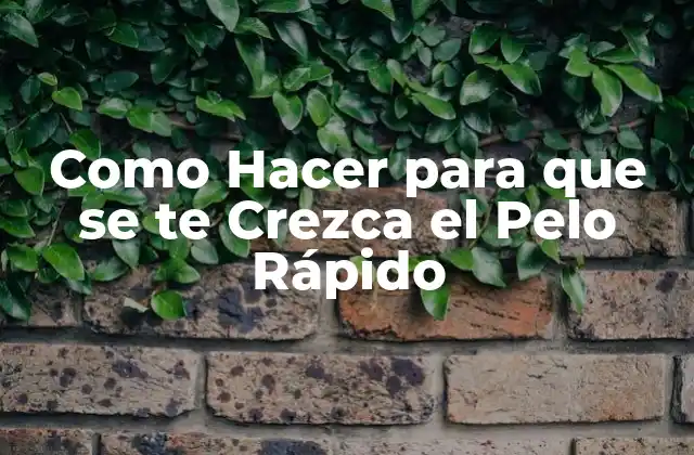 Como Hacer para que Se Te Crezca el Pelo Rápido