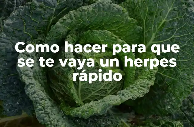 Como Hacer para que Se Te Vaya un Herpes Rápido