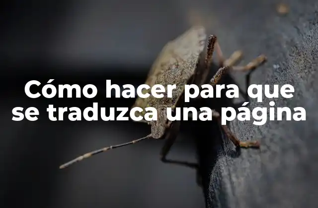 Cómo Hacer para que Se Traduzca una Página