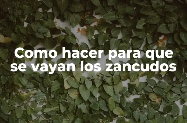Como Hacer para que Se Vayan los Zancudos