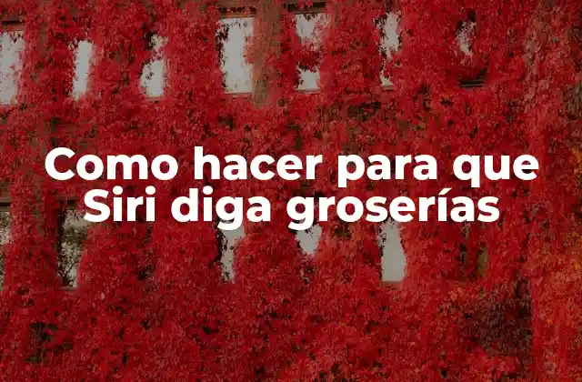 Como Hacer para que Siri Diga Groserías 2 Como hacer para que Siri diga groserías