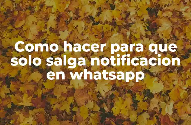 Como Hacer para que Solo Salga Notificacion en Whatsapp