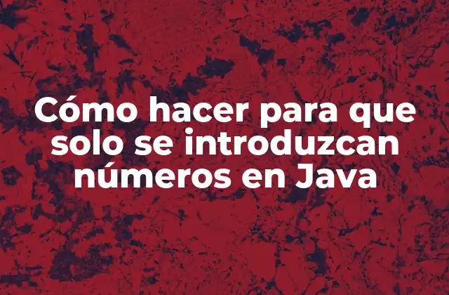Cómo Hacer para que Solo Se Introduzcan Números en Java 2 Cómo hacer para que solo se introduzcan números en Java