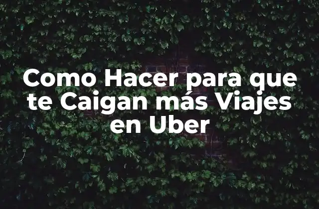 Como Hacer para que Te Caigan Más Viajes en Uber